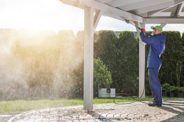 Best Driveway Pressure Washing  in Medford, WI