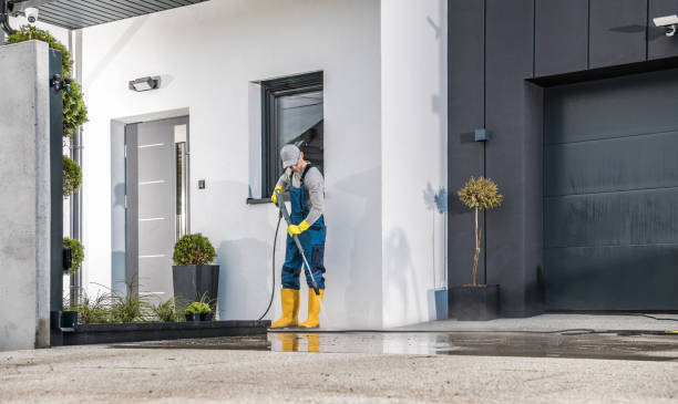 Best House Exterior Washing  in Medford, WI